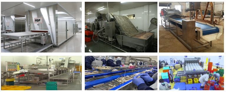 Food processing and refrigeration applications